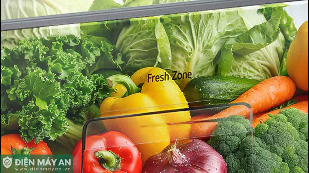 Tủ Lạnh LG Inverter 292 Lít T30SV